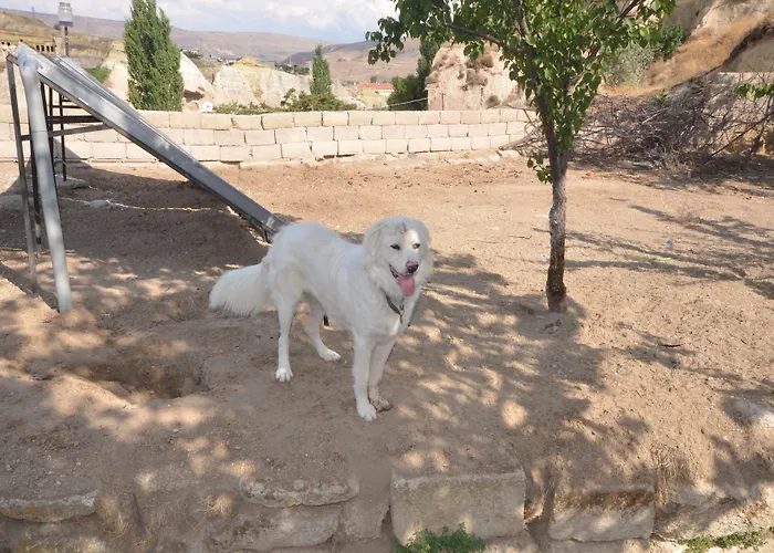 Cappadocia Abras Cave